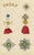 Order of the White Falcon, 1844, Paper For Sale - Image 9 of 9