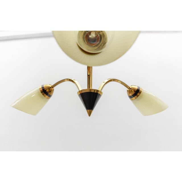 Mid-Century Modern 3-Armed Brass Sputnik Lamp, 1950s For Sale - Image 11 of 15