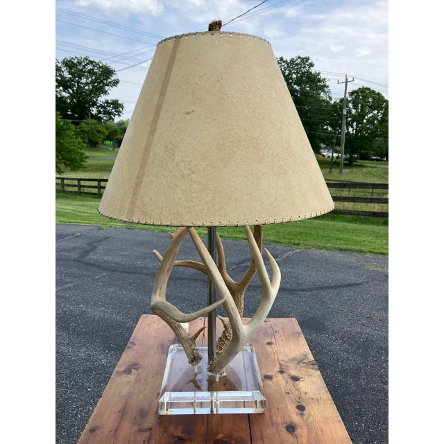Mid 20th Century Mid-Century Antler Table Lamp With Hand-Woven Hide Shade + Acrylic Base For Sale - Image 5 of 10