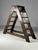 Antique library stairs/stairs. In English style, but probably of French origin. Made of solid oak, in the 19th century....
