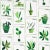 Schumacher X Peg Norriss Botanicals Wallpaper in Greenhouse - 10 Yards For Sale