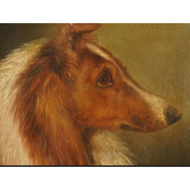English Antique 19th Century Portrait of a Collie For Sale - Image 3 of 3