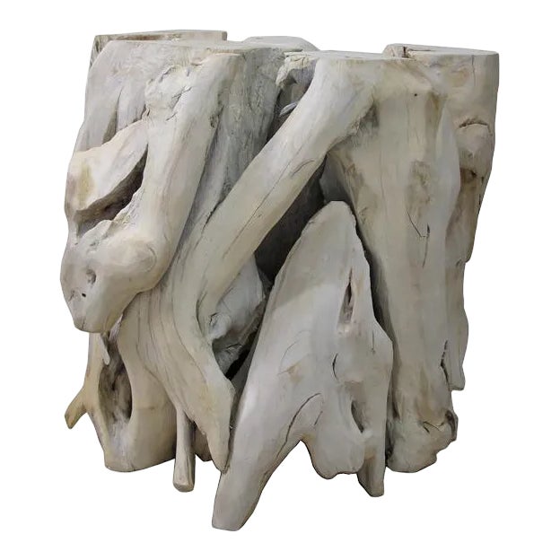 Contemporary Organic Modern Teak Root Sculpture For Sale