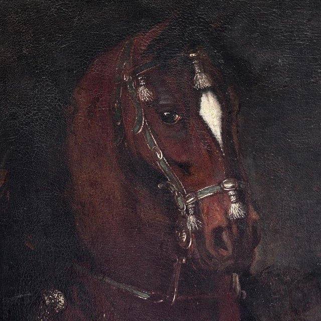 Jacob Van Schuppen, Life-Size Baroque Equestrian Portrait of the King of Sardinia, 1600s, Oil on Canvas For Sale - Image 6 of 9
