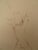 Modern Leonor Fini, The Astrologer, Nude, Original Signed Engraving For Sale - Image 3 of 7