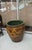 Antique Chinese Glazed Black Egg Pot Jardiniere 19" H X 19" Dia. For Sale - Image 16 of 16