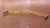 19th Century French Louis XV Carved Giltwood Canapé De Lit Crest For Sale - Image 9 of 9