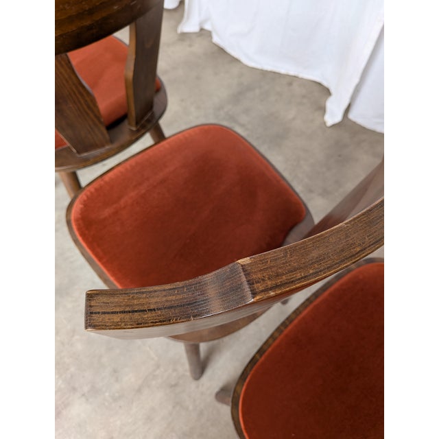 Vintage Tyrolean Dining Chairs with Red Fabric Seats, 1970s, Set of 4 For Sale - Image 18 of 18