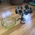 1930s Umberto Bellotto Art Nouveau Murano Attributed Glass Coupe Nesting on a Wrought Iron Grape Vine Basket For Sale - Image 4 of 6