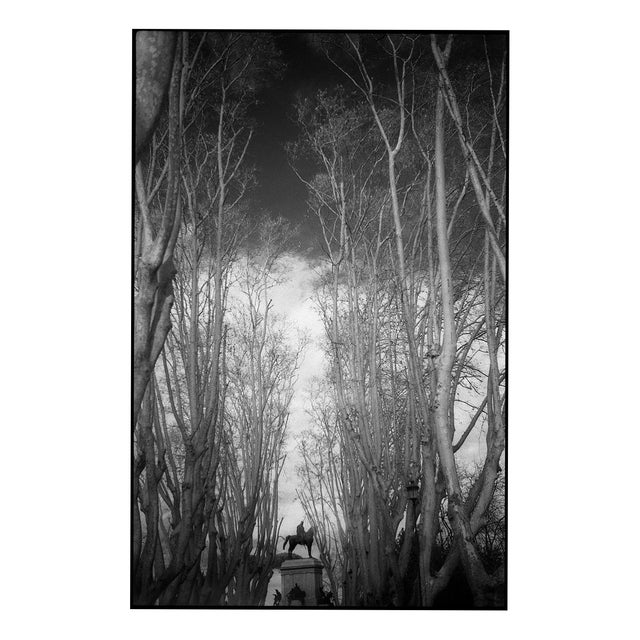 Paul Cooklin, Garibaldi Monument, Edition of 50 For Sale