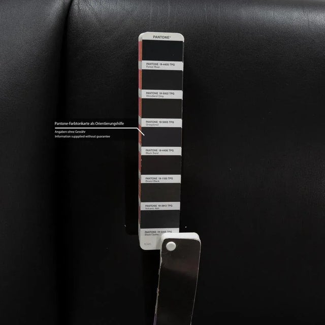 Animal Skin Echnaton 2-Seater Sofa in Black Leather from Leolux For Sale - Image 7 of 8