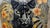 A black panther stares directly forward from a field of tropical leaves and orange hibiscus, its yellow eyes the only warm...
