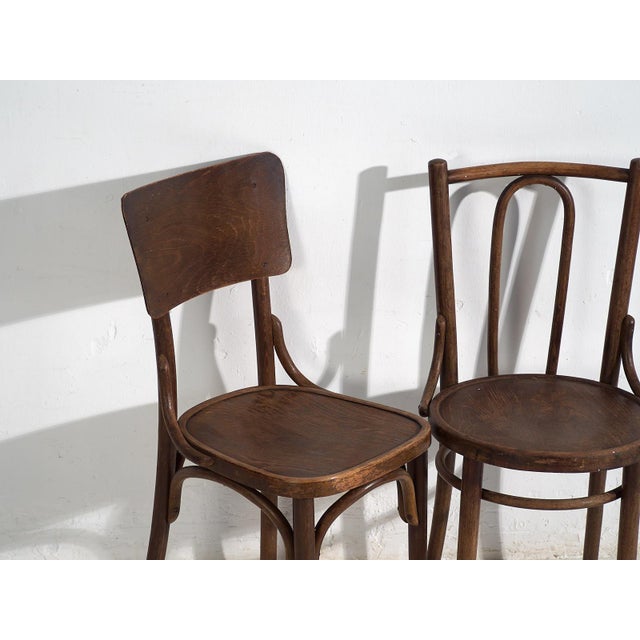 Thonet Antique Dining Chairs from Thonet, 1920, Set of 6 For Sale - Image 4 of 18