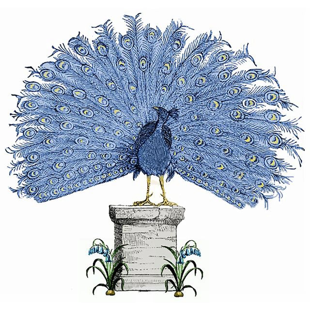 Printed Peacock on a Pedestal For Sale - Image 4 of 4