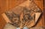 French Scrubbed Pine Decoupage & Trompe l'Oeil Doors For Sale - Image 9 of 18