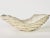 Not Yet Made - Made To Order Coral Wings by N'atelier For Sale - Image 5 of 6
