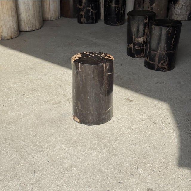 Side Table in Black Petrified Wood with Beige Stripes and Sides For Sale - Image 14 of 18