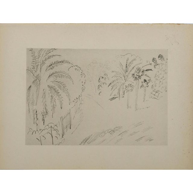 Henri Matisse, Jardin luxuriant, Lithograph For Sale - Image 4 of 4