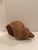 Monumental Woven Rattan Shell Form Sculpture For Sale - Image 14 of 15