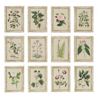 Schumacher x Johnson Hartig Garden's Trust Wallcovering in Blushed Oyster For Sale