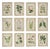 Schumacher x Johnson Hartig Garden's Trust Wallcovering in Blushed Oyster For Sale