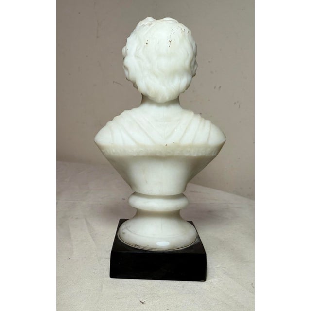 Antique Charles Sumner Figural Frosted Milk Glass Bust Paperweight Sculpture For Sale - Image 12 of 15