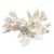 Large Natural White Coral Reef Specimen #4 For Sale