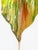 Abstract Original Poured Resin Botanical Pear Shaped Bloom Painting For Sale - Image 3 of 3