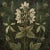 Grisaille Dark Green Flowers - Botanical Fine Art Print Dimensions: Print size (in): 18 x 18 (additional white borders for...