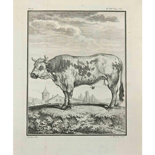 Jean Charles Baquoy, Le Chevreuil, Etching, 1771 For Sale