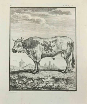 Jean Charles Baquoy, Le Chevreuil, Etching, 1771