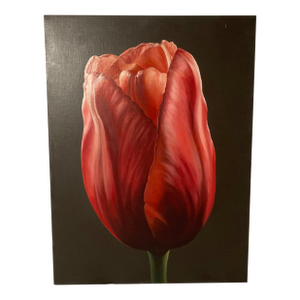 Contemporary Art Tulip # 2 Painted in Bright Dramatic Pink