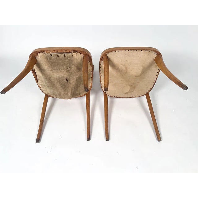 1950s Italian Dining Chairs With Sculptural Backs in the Style of Pirelli Sapsa - Set of 5 For Sale - Image 13 of 15