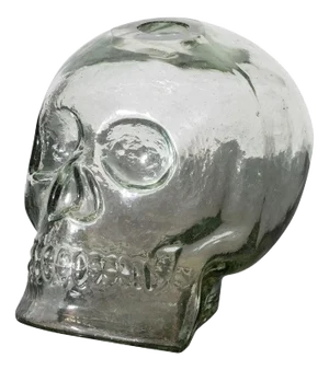 Clear glass sculptural skull vase