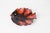 1960s Mid 20th Century Vallauris French Pottery Fish Platter in Orange and Brown Glaze For Sale - Image 5 of 16