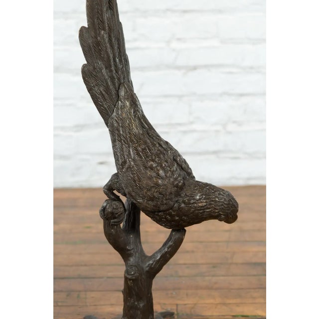 Chocolate Contemporary Bronze Statue of a Parrot Perched on a Branch and Leaning Down, with Dark Patina For Sale - Image 8 of 13