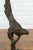 Chocolate Contemporary Bronze Statue of a Parrot Perched on a Branch and Leaning Down, with Dark Patina For Sale - Image 8 of 13