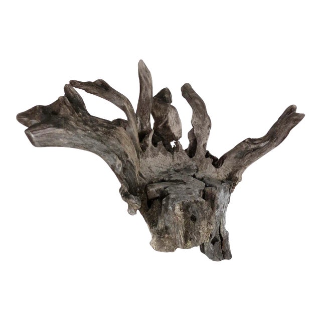 Organic Studio Sculptural Tree Trunk Root Chair From Belgium For Sale