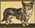 Ira Yeager Ira Yeager Corgi Dog Oil on Canvas Folk Art Painting 2005 For Sale - Image 4 of 18