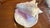 Large Conch Shell 7" X 8"" Nautical Decor Sea Shell Ocean Beach Pink White. For Sale - Image 11 of 16