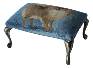 Vintage Pomeranian Tapestry Upholstered Cast Brass Cabriole Legs Footstool