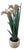 Early 20th Century Antique Carved Irises Potted in Vessel For Sale - Image 5 of 12