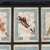 20th Century Italian Large Oak Frame with Pressed Flowers and Herbs, 1950s For Sale - Image 6 of 15