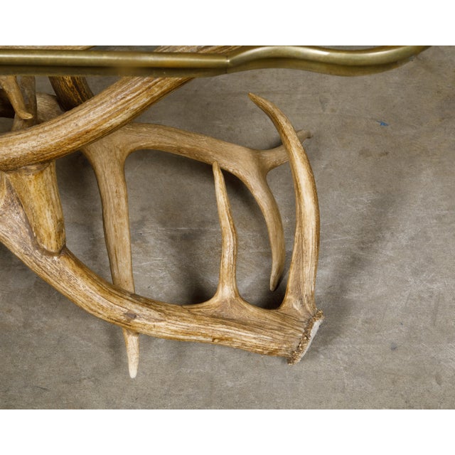 Mid-Century Modern Mid 20th Century Antler and Glass Midcentury American Coffee Table with Gilded Surround For Sale - Image 3 of 12