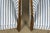 1920s Pair of French Art Deco Maple Gondola Barrel Chairs, Provence, Circa 1925 For Sale - Image 5 of 18
