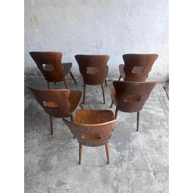 Plywood Dining Chairs from Baumann, France, 1950s, Set of 6 For Sale - Image 4 of 9