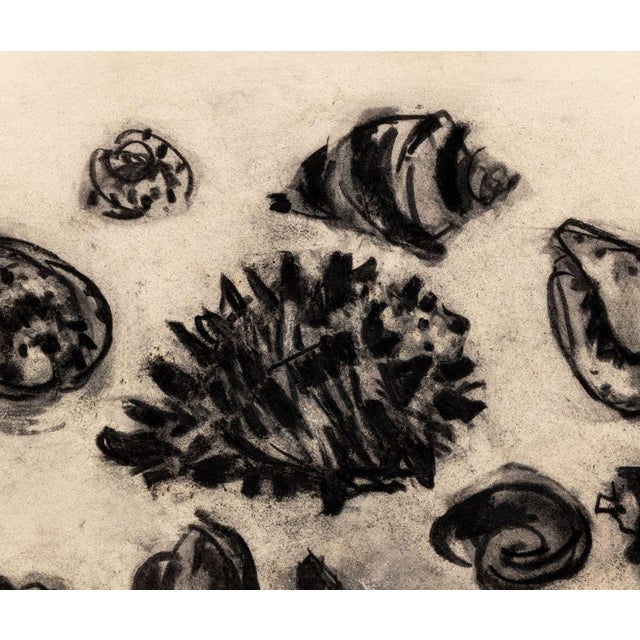 Manfred Schwartz (American, b. Poland, 1909-1970), Still Life of Seashells, Charcoal on Paper, with the artist's signature...