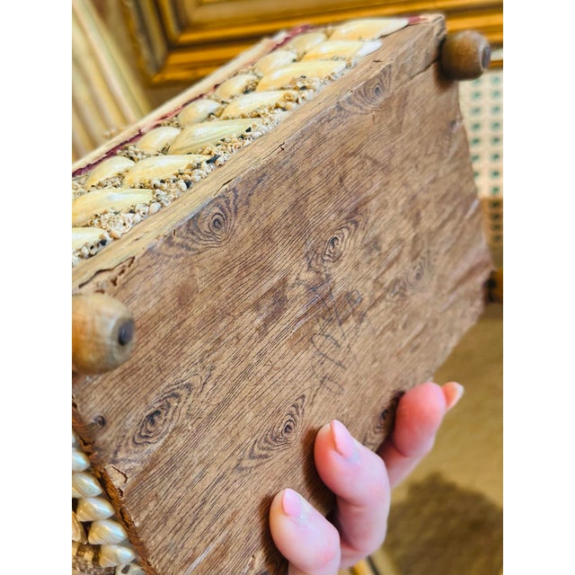 Shell Antique Shell Box For Sale - Image 7 of 12