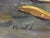 Brown 1980s Oil Painting Still Life With Bagels Khorov Alexander For Sale - Image 8 of 11