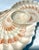 A striking vintage serving piece by Fitz and Floyd, featuring a beautifully sculpted seashell design with organic form and...